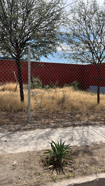 Terreno en renta en Residencial las Etnias, Torreón — foto 2 de 5