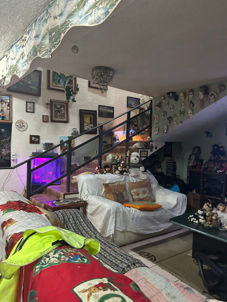 Casa en venta en San Lorenzo la Cebada, Xochimilco — foto 3 de 25