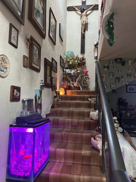 Casa en venta en San Lorenzo la Cebada, Xochimilco — foto 2 de 25