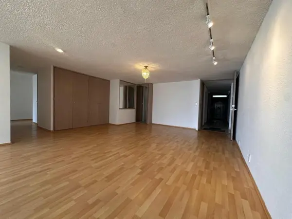 Departamento en renta en Polanco V Sección, Miguel Hidalgo — foto 3 de 25