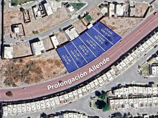 Terreno en venta en La Joya, Torreón — foto 2 de 3