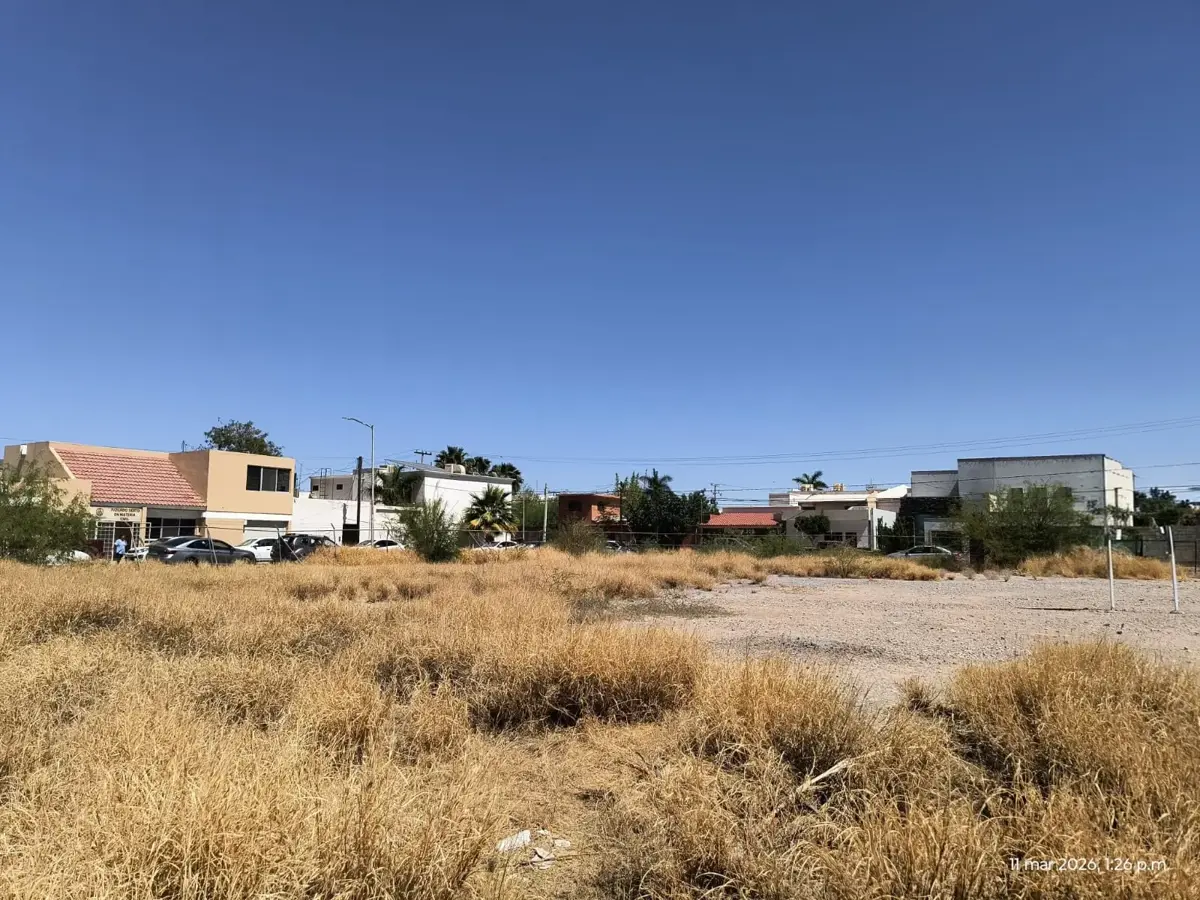 Terreno en renta en Torreón Residencial, Torreón — foto 1 de 6