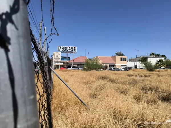 Terreno en renta en Torreón Residencial, Torreón — foto 3 de 6