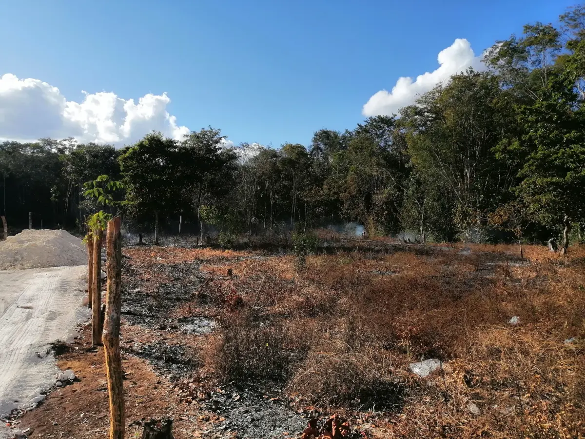 Terreno en venta en Solferino, Lázaro Cárdenas — foto 1 de 2