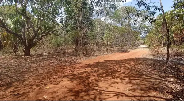 REMATE EN CHINÁ CAMPECHE Casi 1 hectárea con escrituras