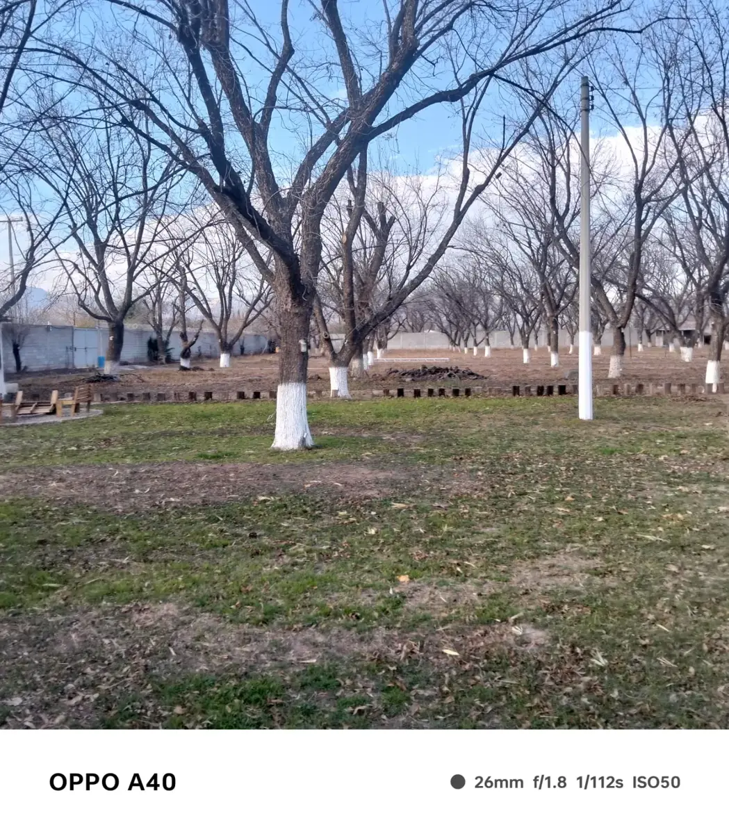 Quinta en venta en Ciudad Juárez, Lerdo — foto 1 de 6