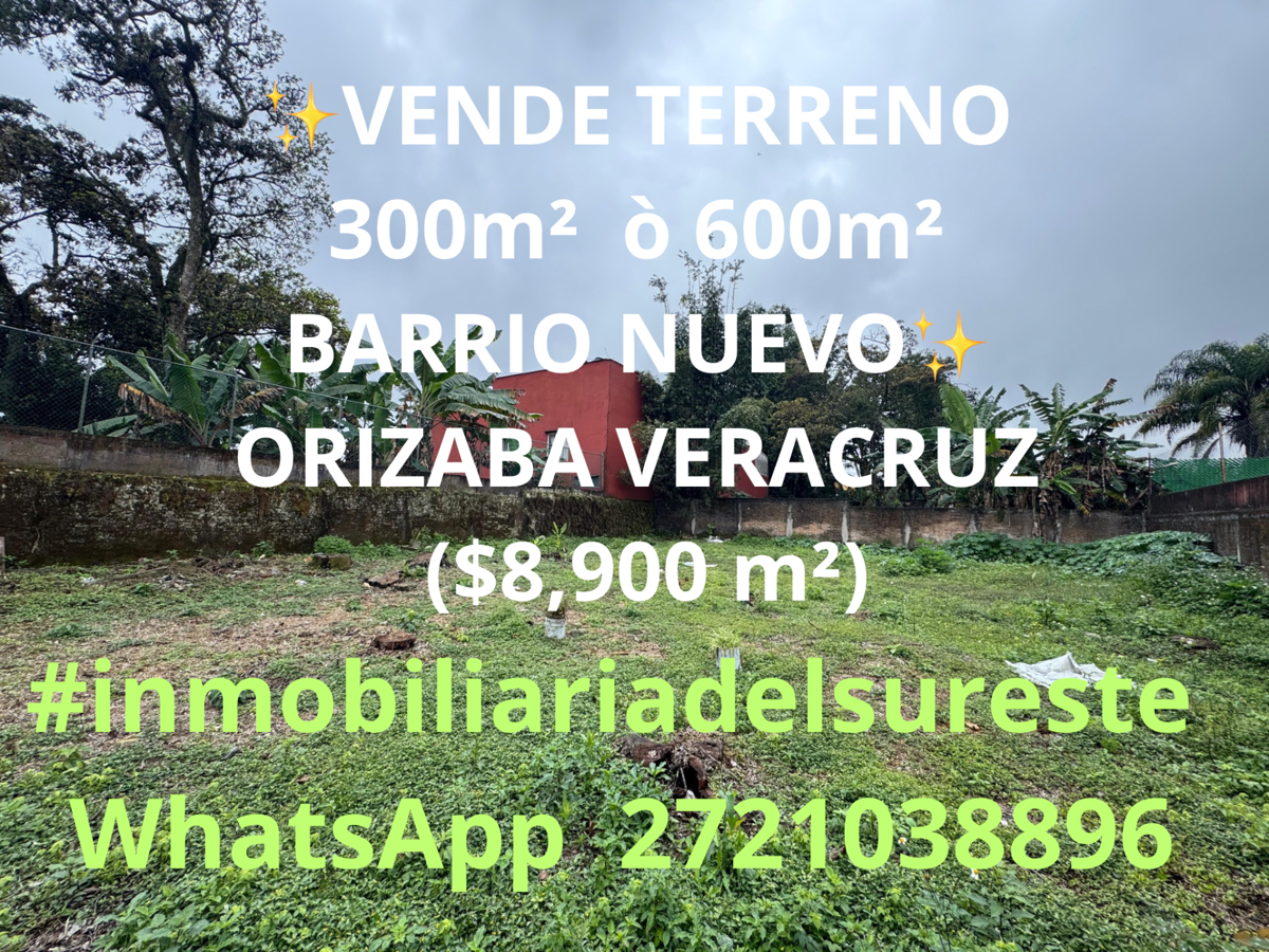 Terreno en venta en Barrio Nuevo, Orizaba — foto 1 de 3