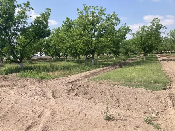 Finca-Rancho en venta en San Pedro Centro, San Pedro, Coahuila de Zaragoza