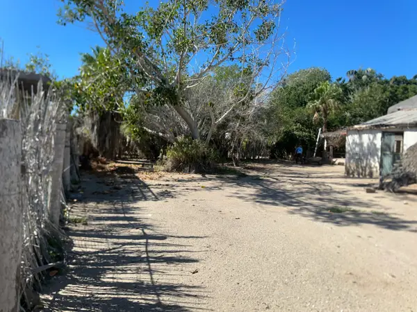 Terreno en venta en San Juanico, Comondú — foto 2 de 4