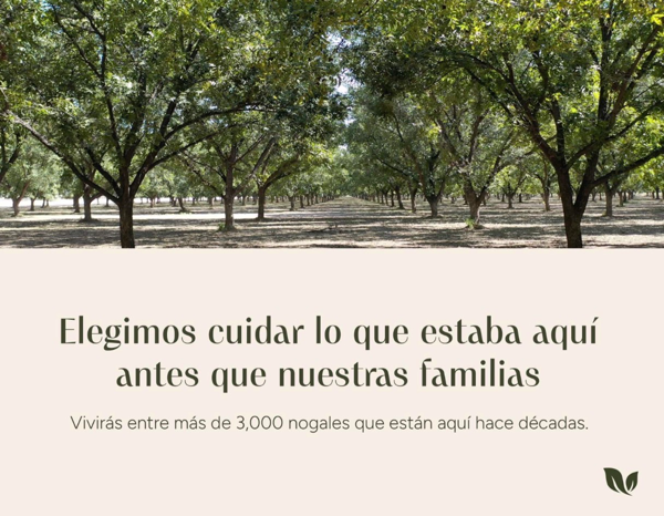 Terreno en venta en Privadas de Santa Fe, Torreón — foto 2 de 14