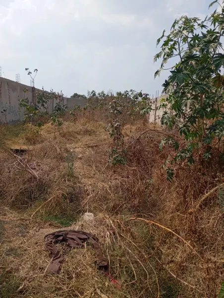 Terreno en venta en La Severiana, Tonalá — foto 3 de 8