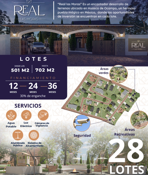 Terreno en venta en La Mora, Huasca de Ocampo — foto 3 de 8