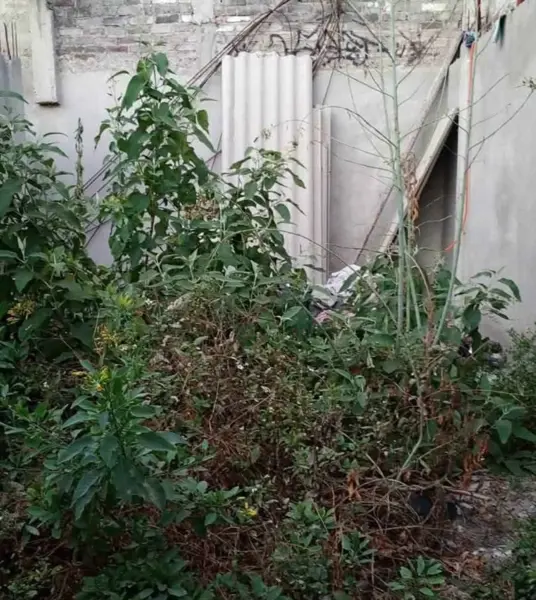 Terreno en venta en Juan Escutia, Iztapalapa — foto 3 de 4