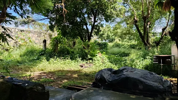 Terreno en venta en Lomas de Trujillo, Emiliano Zapata — foto 3 de 8