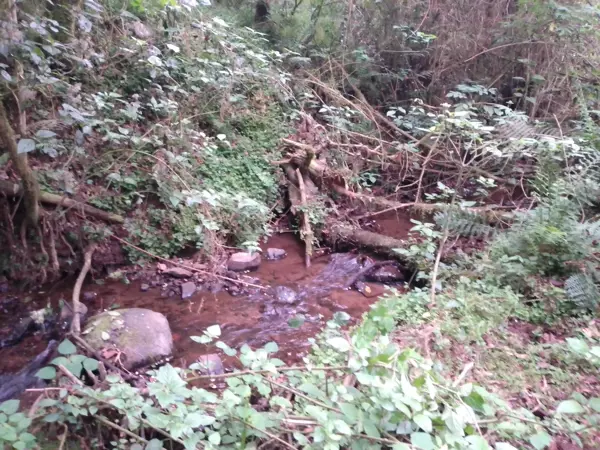 Terreno en venta en Venta Chica, Huauchinango — foto 3 de 10