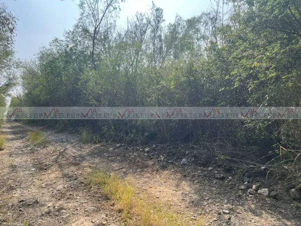 Terreno en venta en El Barranquito, Cadereyta Jiménez — foto 3 de 16