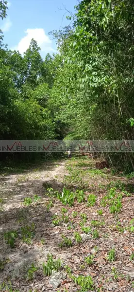 Terreno en venta en Villas Tropicales, Benito Juárez — foto 3 de 8