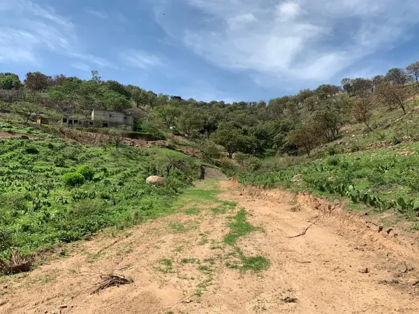 TERRENOS EN VENTA EN SAN ESTEBAN