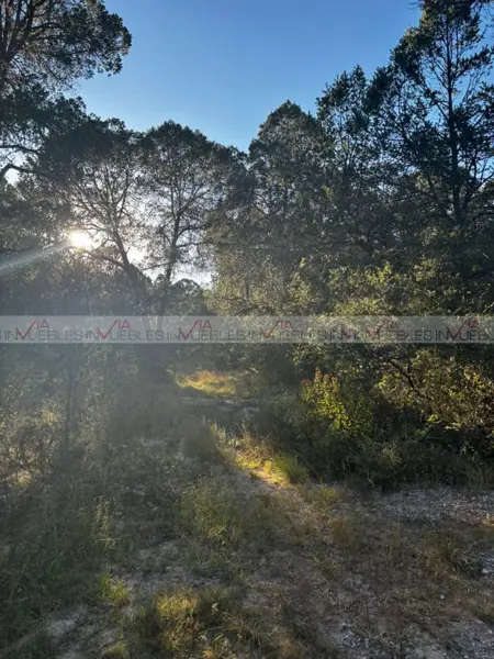 Terreno en venta en Guadalupe, Arteaga — foto 3 de 8