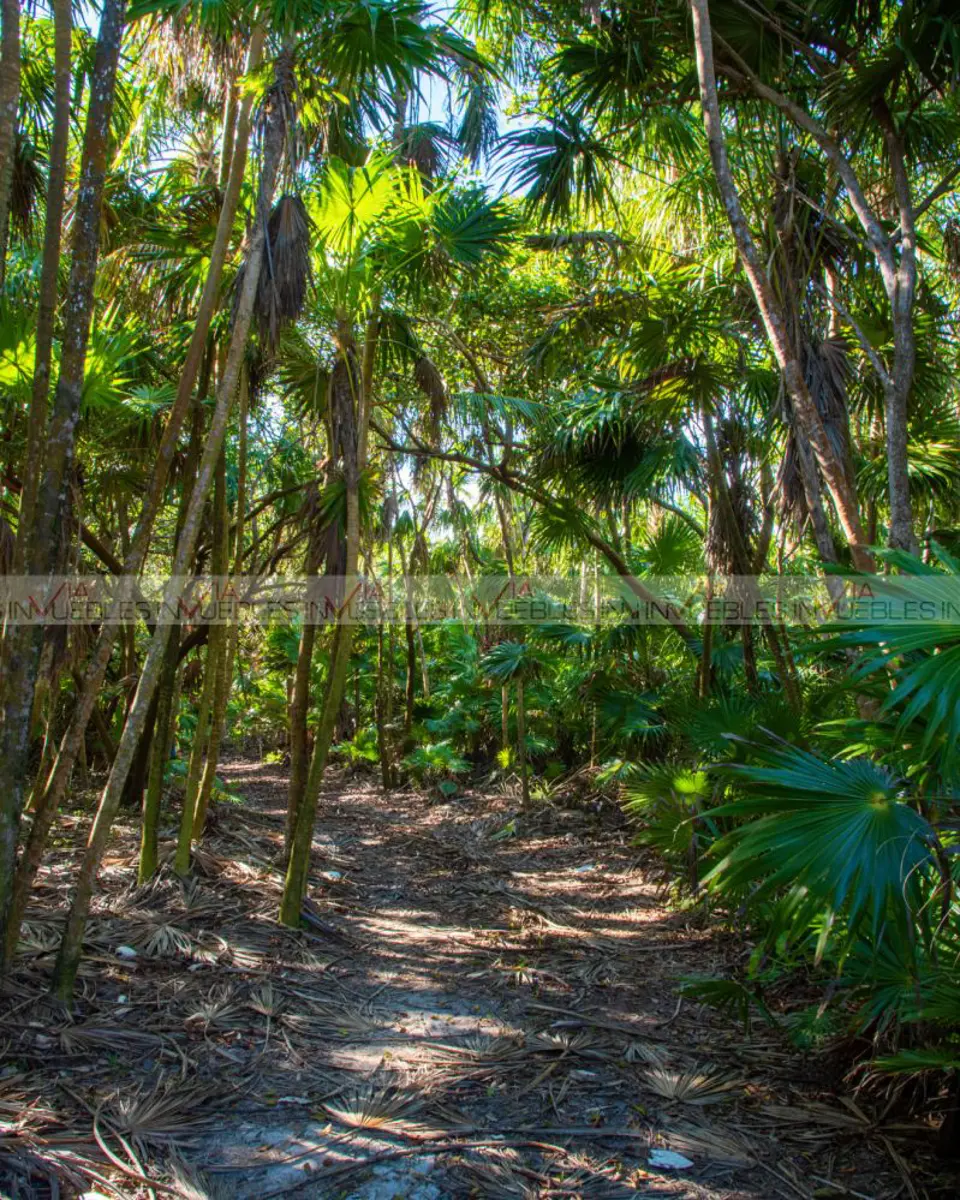 Terreno en venta en Tulum Centro, Tulum — foto 1 de 10