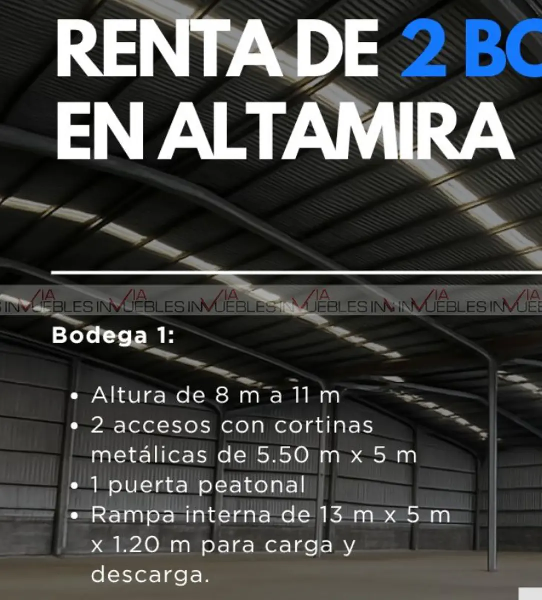 Bodega en renta en Puerto Industrial de Altamira, Altamira — foto 1 de 10