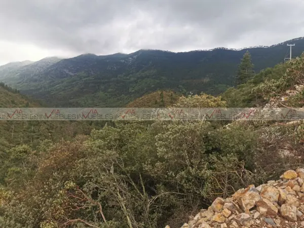 Terreno en venta en San Antonio de las Alazanas, Arteaga — foto 2 de 11