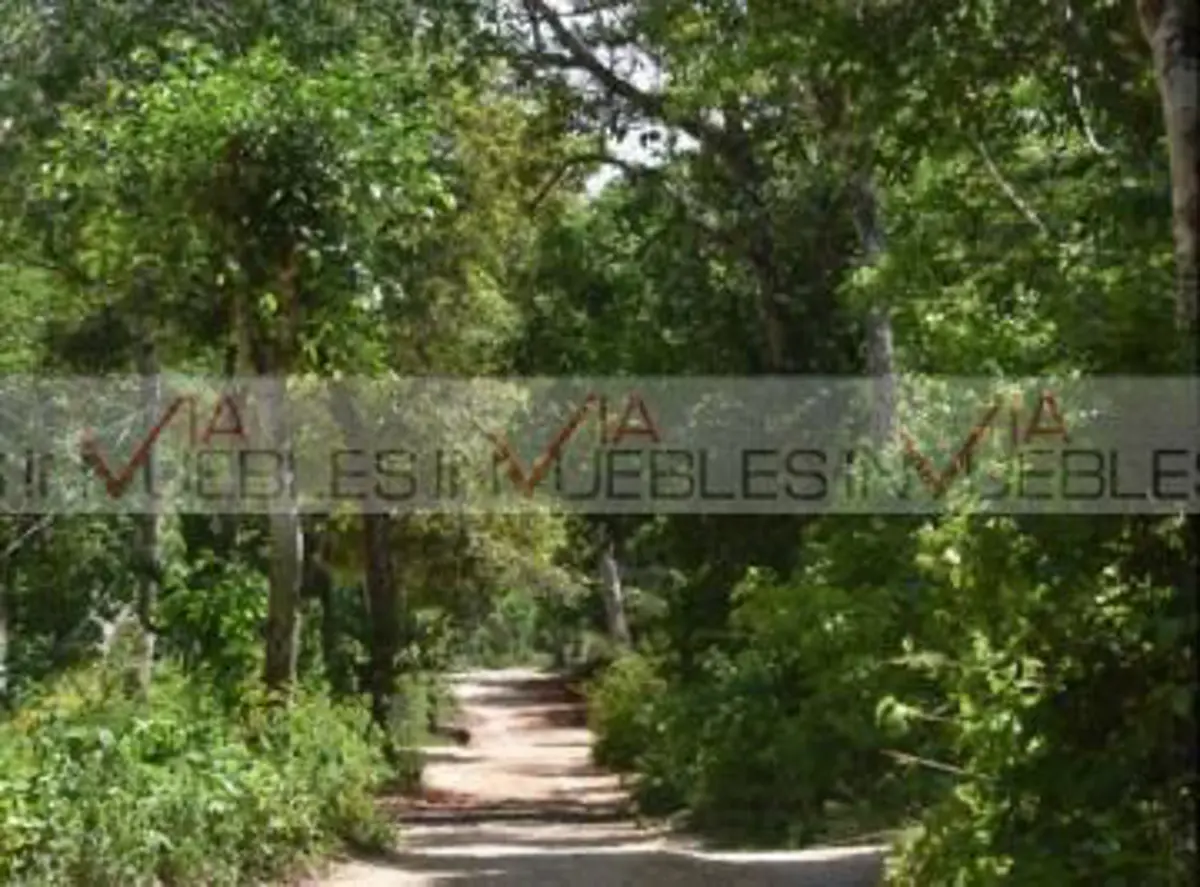 Terreno en venta en Macario Gómez, Tulum — foto 1 de 9