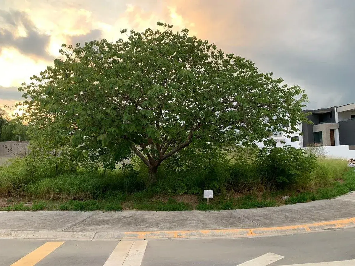 Terreno en venta en Almendros de Laderas, Monterrey — foto 1 de 12