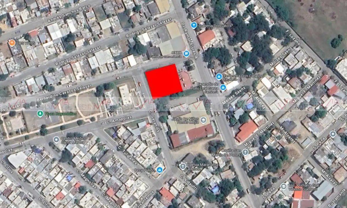 Terreno en renta en Bernardo Flores, Allende — foto 1 de 8