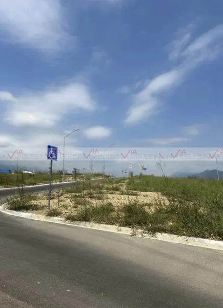 Viñedos de Sicilia