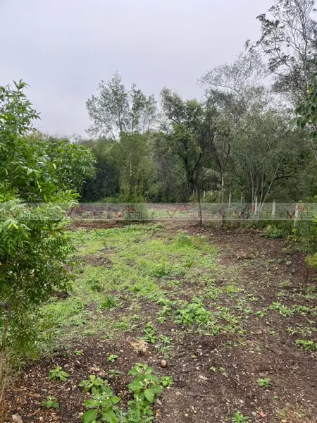 Terreno en venta en El Fraile, Montemorelos — foto 2 de 8