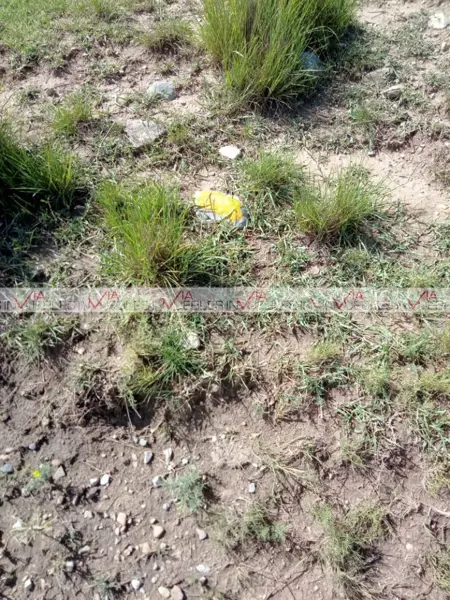 Terreno en venta en Jame, Arteaga — foto 3 de 10