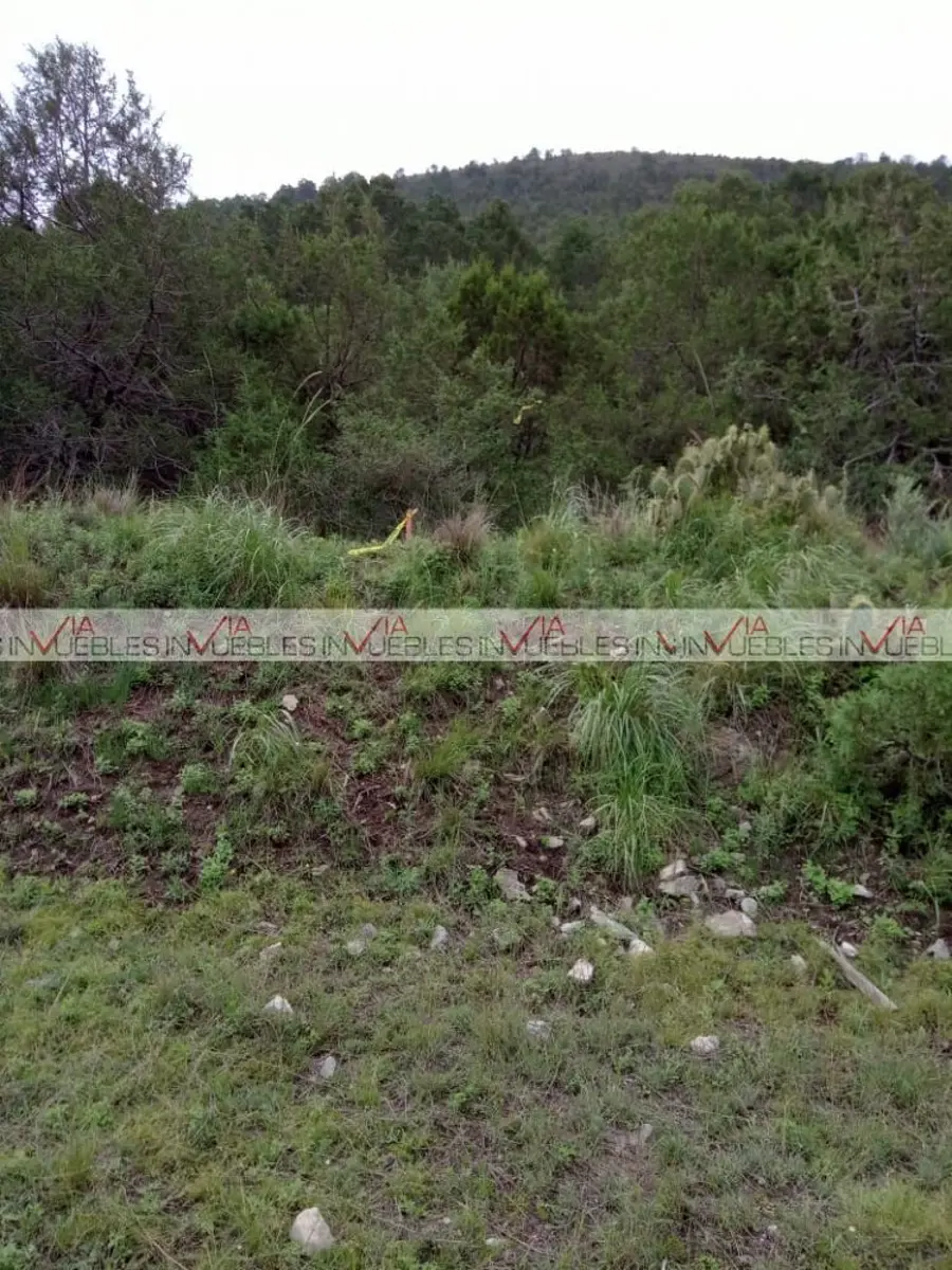 Terreno en venta en Jame, Arteaga — foto 1 de 10
