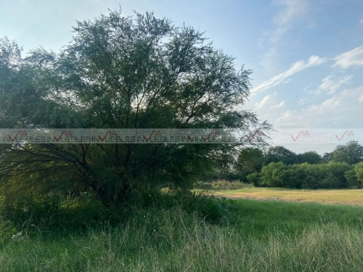 Terreno en venta en Palmitos, Cadereyta Jiménez — foto 1 de 10