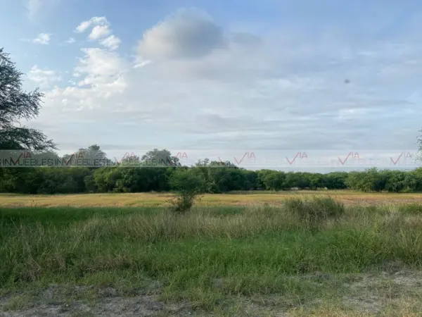 Terreno en venta en Palmitos, Cadereyta Jiménez — foto 2 de 10