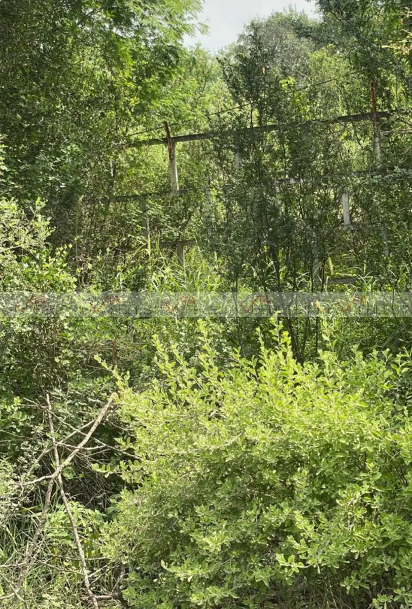 Terreno en venta en El Castillo, Cadereyta Jiménez — foto 1 de 8