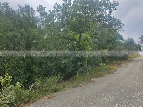 Terreno en venta en El Pastor, Montemorelos — foto 2 de 9