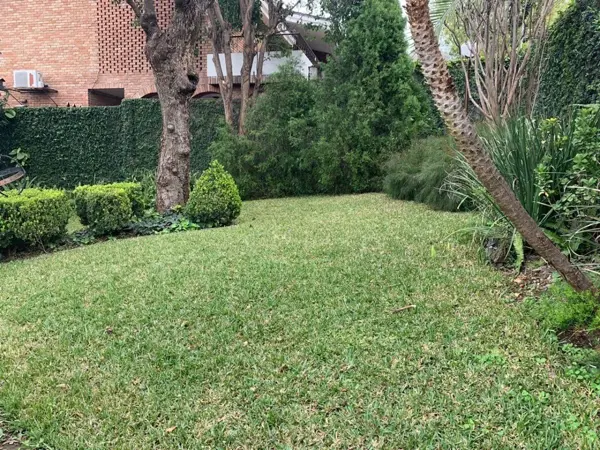 Casa en Renta en Veredalta, San Pedro Garza García, Nuevo León 5
