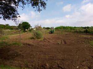 Terreno en venta en El Refugio, Cadereyta Jiménez — foto 3 de 9
