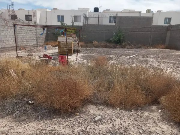 Terreno en venta en Jardines las Etnias, Torreón — foto 2 de 11