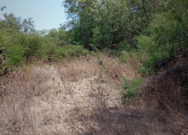 Terreno en venta en Vista Hermosa, Tepeji del Río de Ocampo — foto 2 de 2