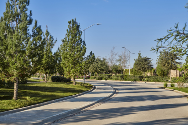 Terreno en venta en Altozano la Nueva Laguna, Gómez Palacio — foto 2 de 5