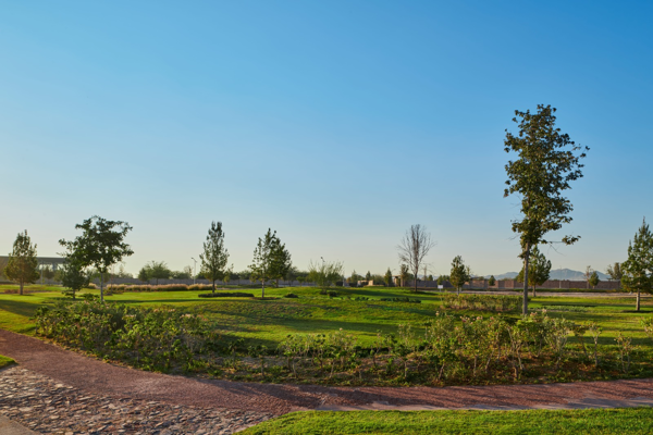 Terreno en venta en Altozano la Nueva Laguna, Gómez Palacio — foto 2 de 5
