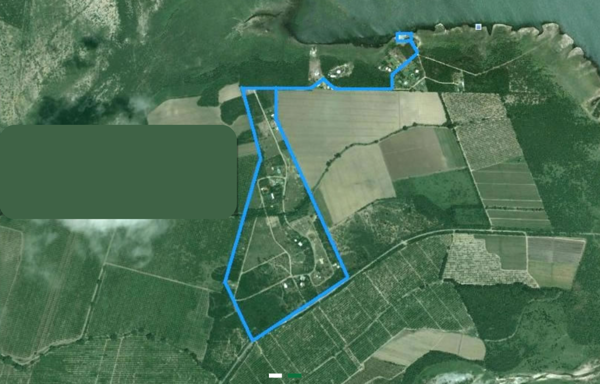 Terreno en Venta en Cerro Prieto, Linares, Nuevo León 1
