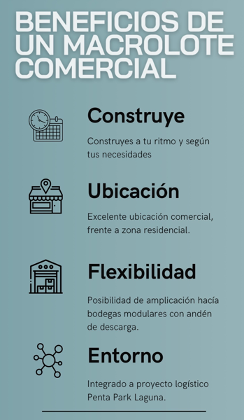 Terreno en venta en Pequeña Zona Industrial, Torreón — foto 3 de 5