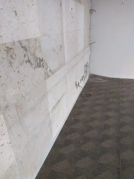 Oficina en renta en Bosque de las Lomas, Miguel Hidalgo — foto 3 de 13