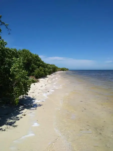excelente terreno en venta par proyecto turistico — foto 1 de 7