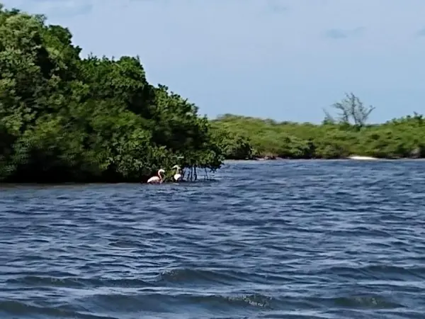Terreno en venta en Santa Rosa, Isla Mujeres — foto 3 de 7