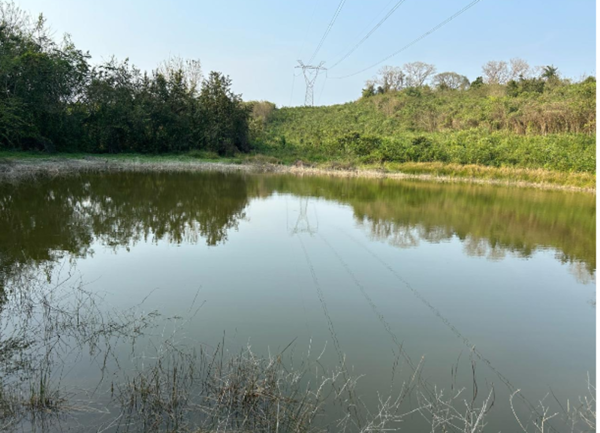 Terreno en venta en Tihuatlan Centro, Tihuatlán — foto 3 de 15
