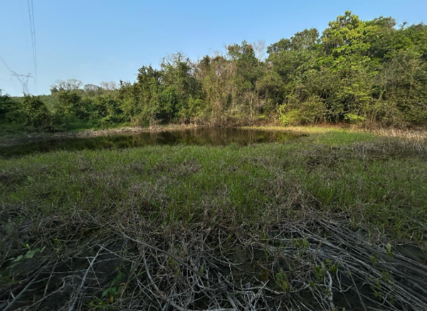 Terreno en venta en Tihuatlan Centro, Tihuatlán — foto 2 de 15